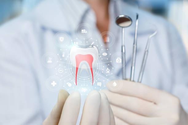 Best Wisdom Tooth Removal  in Boulevard Park, WA